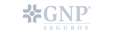 GNP Emiliano Carmona Seguros